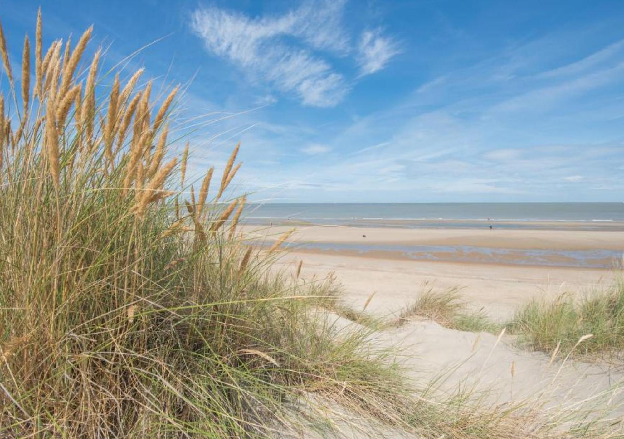 Salty - Vakantiehuisje Op De Grens Van Bredene-De Haan 外观 照片